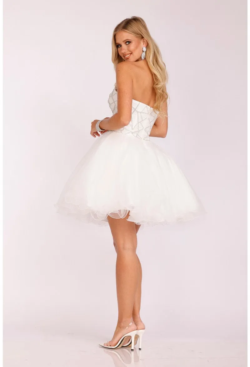 TERANI 231P0565 Dress