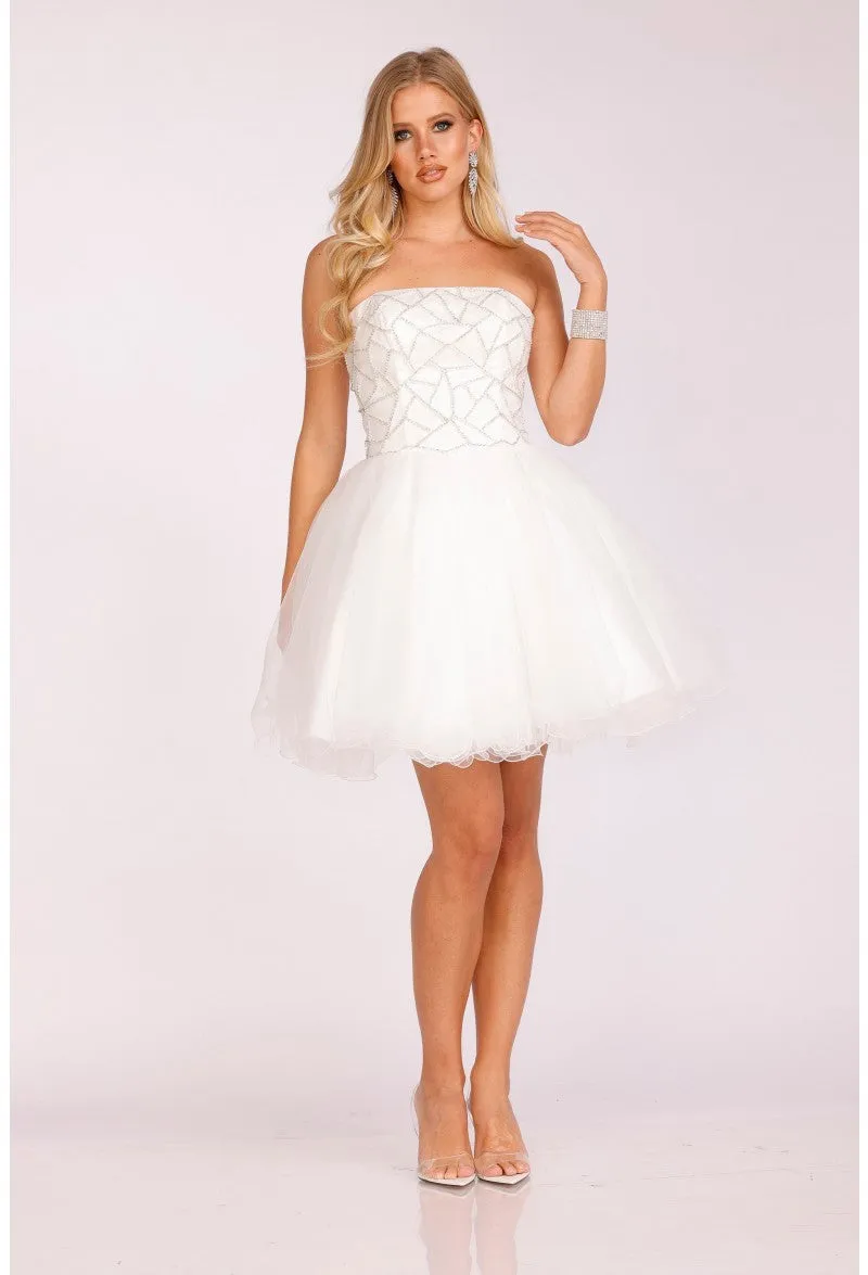 TERANI 231P0565 Dress
