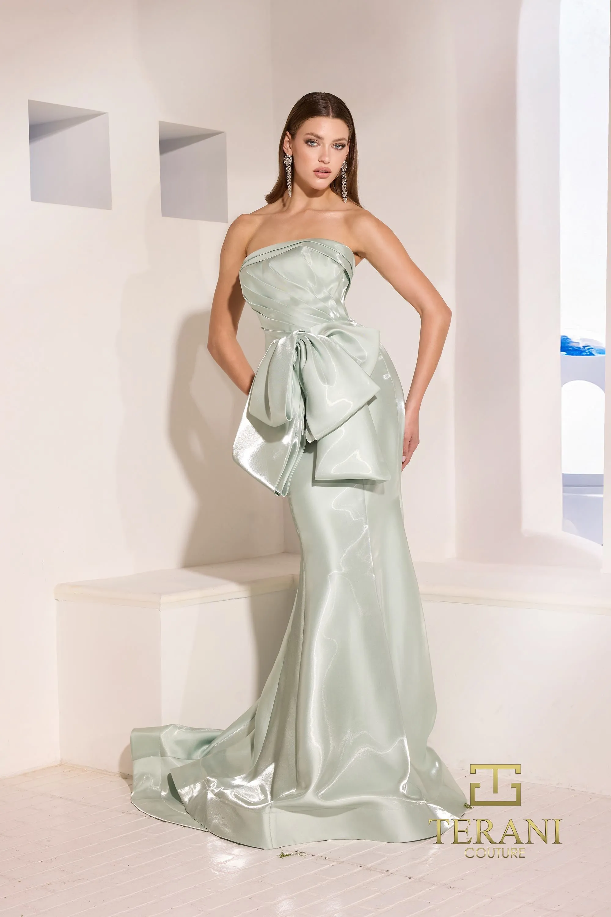 Terani Couture 252E5164